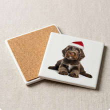 Wirehaired Pointing Griffon Puppy ceramic coasters set of 4, cork back