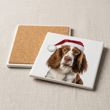 Welsh Springer Spaniel ceramic coasters set of 4, cork back