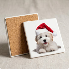 Coton de Tulear Puppy ceramic coasters set of 4, cork back