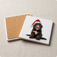 Spanish Water Dog Puppy ceramic coasters set of 4, cork back