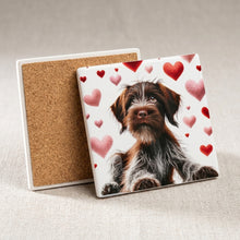 Wirehaired Pointing Griffon ceramic coasters set of 4, cork back