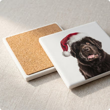 Newfoundland ceramic coasters set of 4, cork back