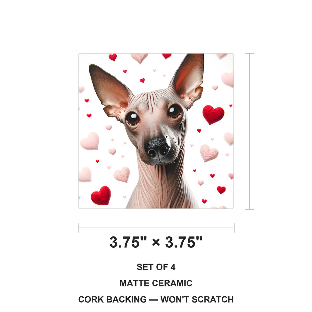 Xoloitzcuintli ceramic coasters set of 4, size 3.75 inches
