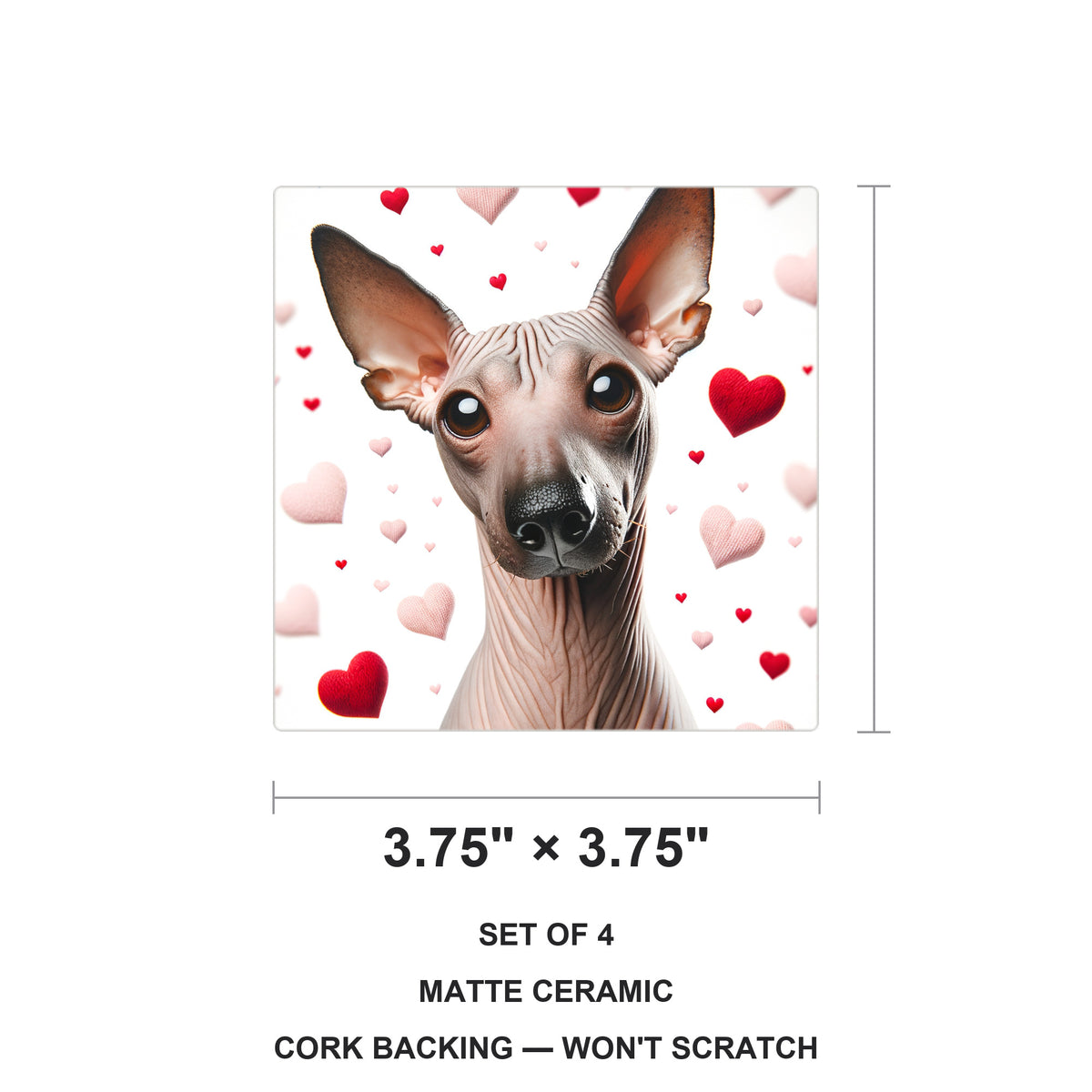 Xoloitzcuintli ceramic coasters set of 4, size 3.75 inches