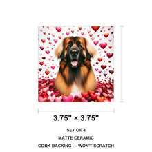Leonberger ceramic coasters set of 4, size 3.75 inches