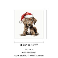Plott Hound Puppy Drawing ceramic coasters set of 4, size 3.75 inches
