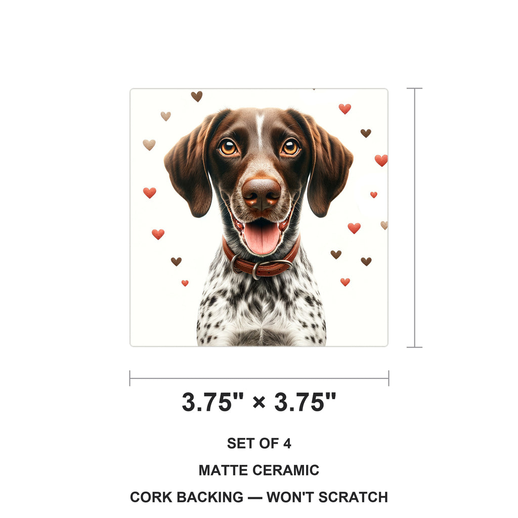 German Shorthaired Pointer ceramic coasters set of 4, size 3.75 inches