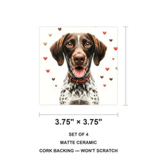 German Shorthaired Pointer ceramic coasters set of 4, size 3.75 inches