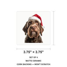 Wirehaired Pointing Griffon ceramic coasters set of 4, size 3.75 inches