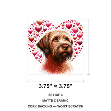 Wirehaired Pointing Griffon ceramic coasters set of 4, size 3.75 inches