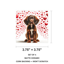 Boykin Spaniel ceramic coasters set of 4, size 3.75 inches