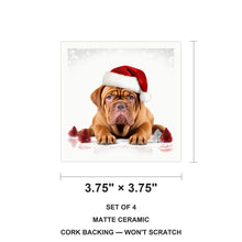 Dogue de Bordeaux ceramic coasters set of 4, size 3.75 inches