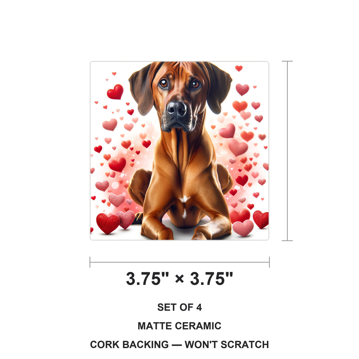 Rhodesian Ridgeback ceramic coasters set of 4, size 3.75 inches