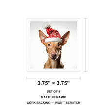 Pharaoh Hound ceramic coasters set of 4, size 3.75 inches