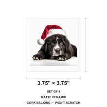 Newfoundland Puppy ceramic coasters set of 4, size 3.75 inches