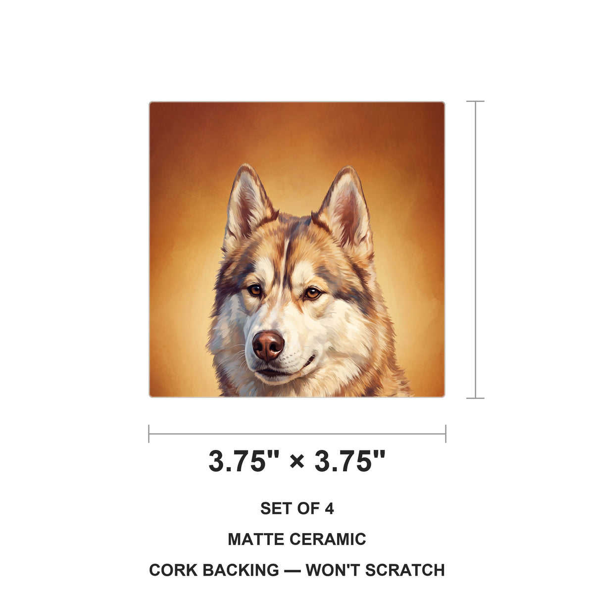 Siberian Husky Portrait ceramic coasters set of 4, size 3.75 inches