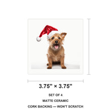 Australian Terrier ceramic coasters set of 4, size 3.75 inches