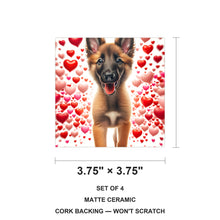 Belgian Malinois ceramic coasters set of 4, size 3.75 inches