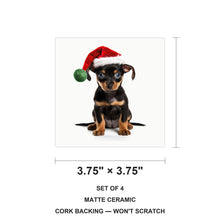 Miniature Pinscher Puppy ceramic coasters set of 4, size 3.75 inches
