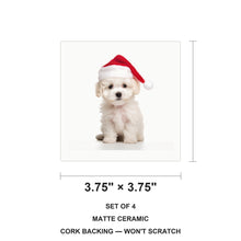 Bichon Frise Puppy ceramic coasters set of 4, size 3.75 inches