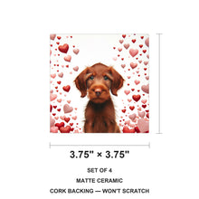 Wirehaired Vizsla ceramic coasters set of 4, size 3.75 inches