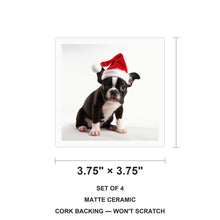 Boston Terrier Puppy ceramic coasters set of 4, size 3.75 inches