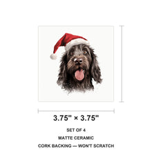 Spinone Italiano ceramic coasters set of 4, size 3.75 inches