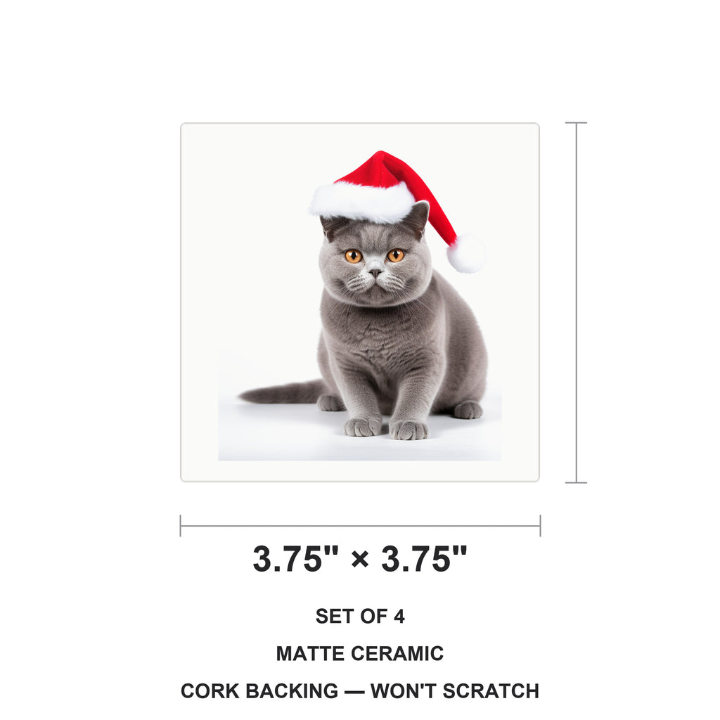 British Shorthair Cat ceramic coasters set of 4, size 3.75 inches