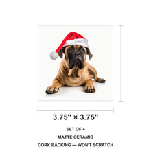 Boerboel ceramic coasters set of 4, size 3.75 inches