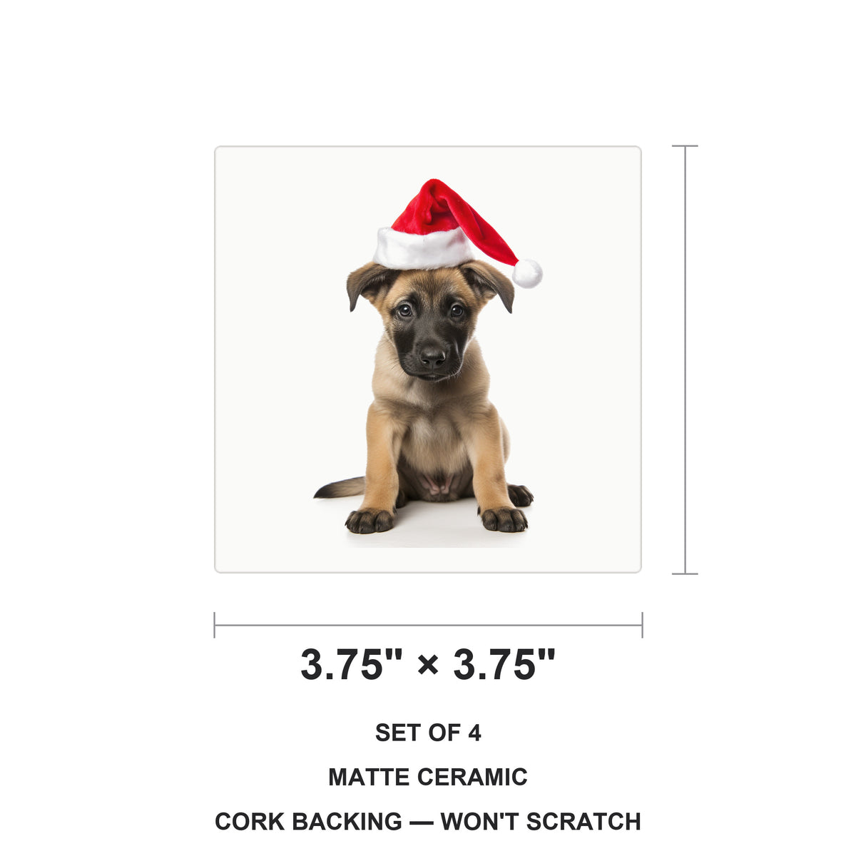 Belgian Malinois Puppy ceramic coasters set of 4, size 3.75 inches