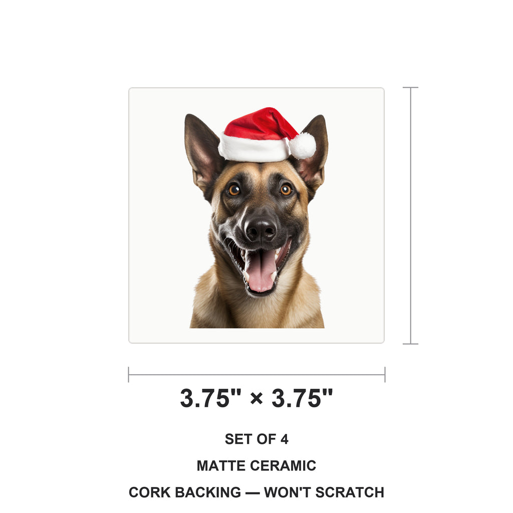 Belgian Malinois ceramic coasters set of 4, size 3.75 inches