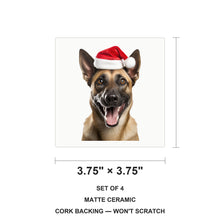 Belgian Malinois ceramic coasters set of 4, size 3.75 inches
