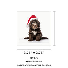 Spanish Water Dog Puppy ceramic coasters set of 4, size 3.75 inches