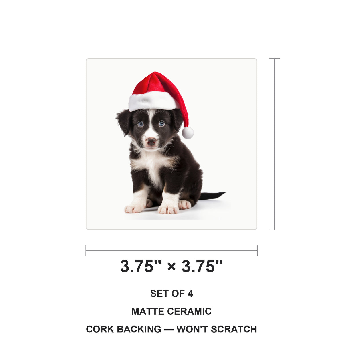 Border Collie Puppy ceramic coasters set of 4, size 3.75 inches