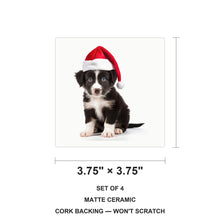 Border Collie Puppy ceramic coasters set of 4, size 3.75 inches