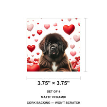Newfoundland ceramic coasters set of 4, size 3.75 inches