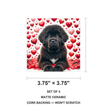 Newfoundland ceramic coasters set of 4, size 3.75 inches