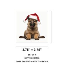 Belgian Tervuren Puppy ceramic coasters set of 4, size 3.75 inches