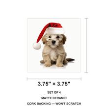 Dandie Dinmont Terrier Puppy ceramic coasters set of 4, size 3.75 inches