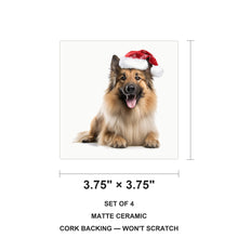 Belgian Tervuren ceramic coasters set of 4, size 3.75 inches