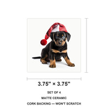 Beauceron Puppy ceramic coasters set of 4, size 3.75 inches