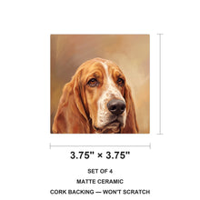 Basset Hound Portrait ceramic coasters set of 4, size 3.75 inches
