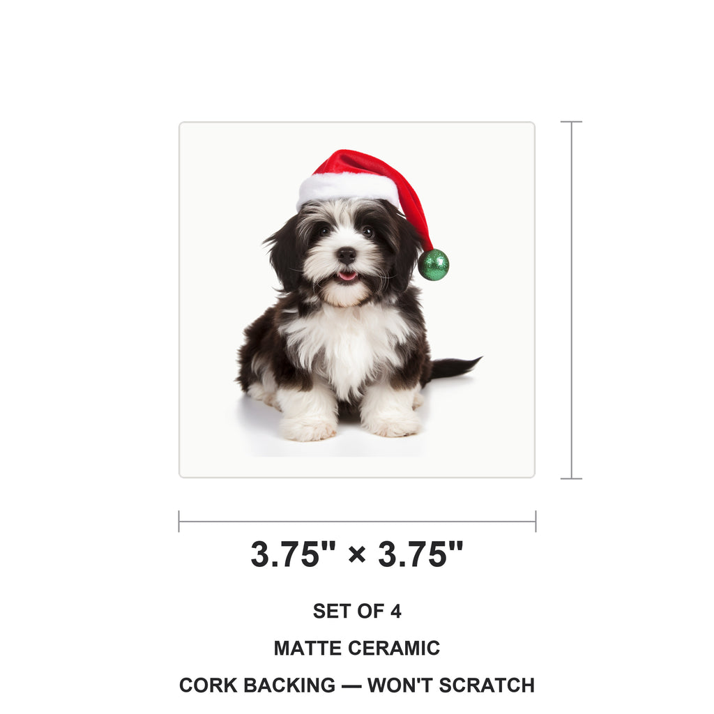 Havanese ceramic coasters set of 4, size 3.75 inches