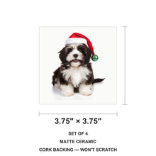 Havanese ceramic coasters set of 4, size 3.75 inches