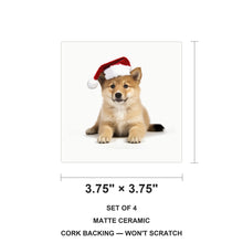Icelandic Sheepdog Puppy ceramic coasters set of 4, size 3.75 inches