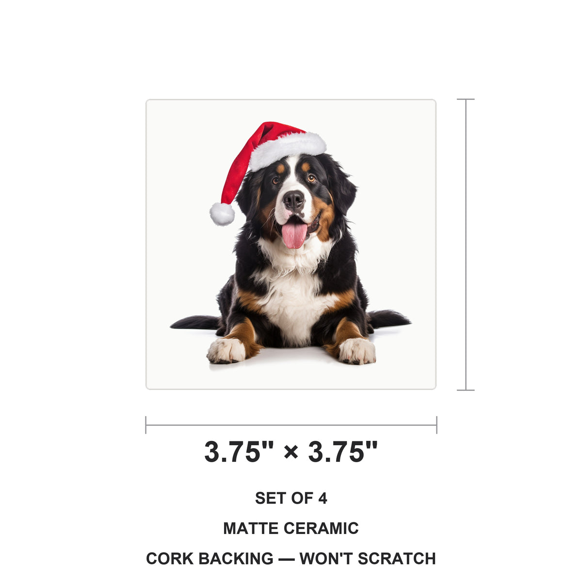 Greater Swiss Mountain Dog ceramic coasters set of 4, size 3.75 inches