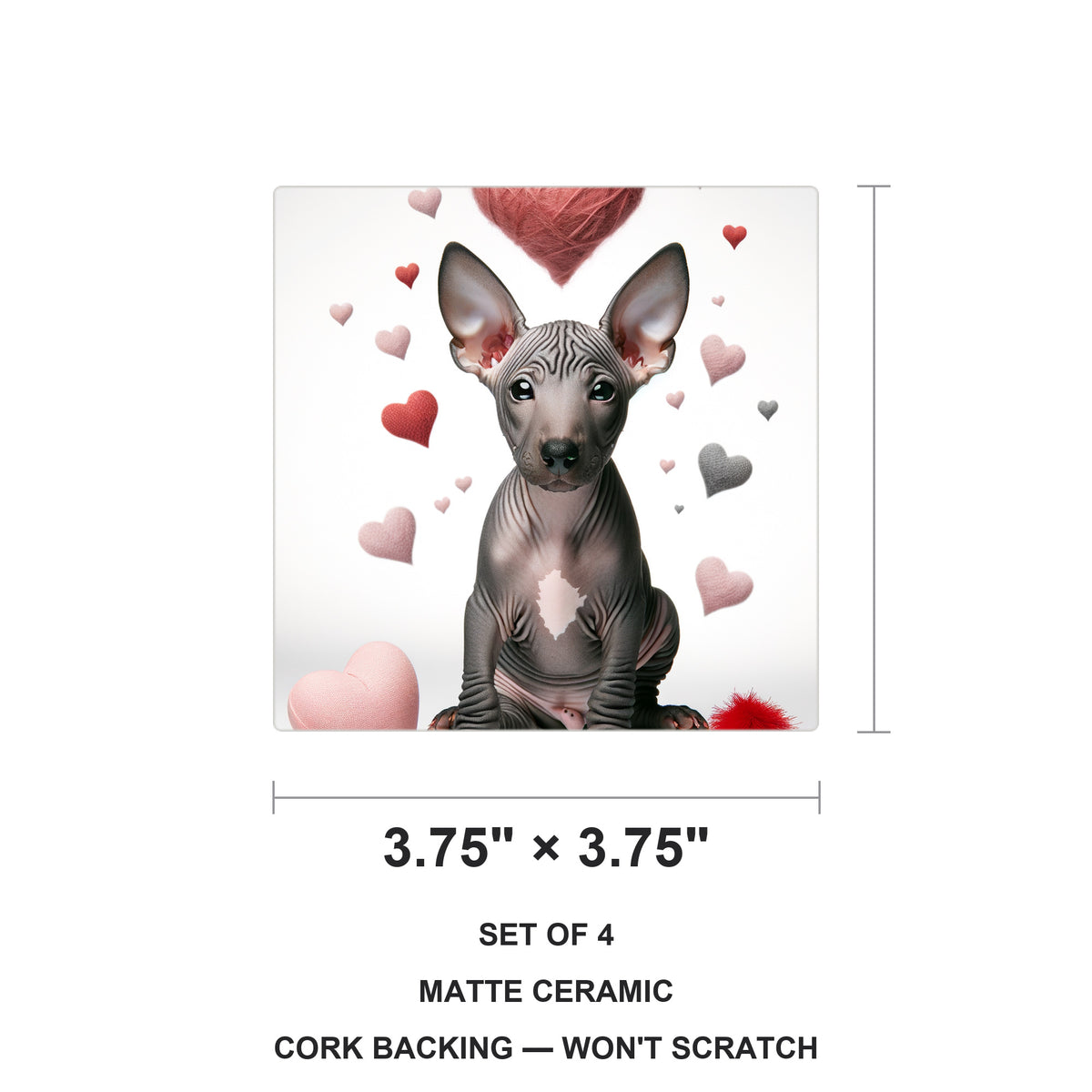 Xoloitzcuintli ceramic coasters set of 4, size 3.75 inches