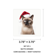 Burmese Cat ceramic coasters set of 4, size 3.75 inches