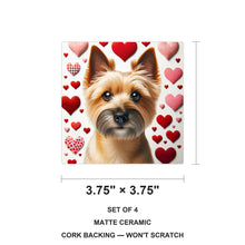 Cairn Terrier ceramic coasters set of 4, size 3.75 inches