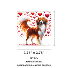 Nederlandse Kooikerhondje ceramic coasters set of 4, size 3.75 inches